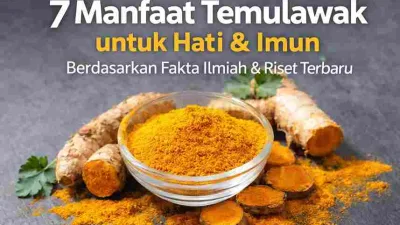 Thumbnail temulawak dengan bubuk temulawak dan rimpang segar yang menunjukkan manfaat temulawak untuk kesehatan hati dan sistem imun