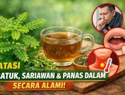 Batuk Tak Kunjung Sembuh? Khasiat Meniran Ini Mengejutkan