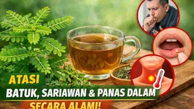 Tanaman meniran dan teh herbal alami untuk membantu meredakan batuk, sariawan, dan panas dalam