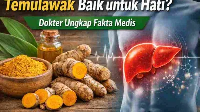 Benarkah Temulawak Baik untuk Hati? Dokter Buka Faktanya