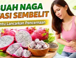 Buah Naga Bantu Atasi Sembelit, Ini Penjelasan Ahli