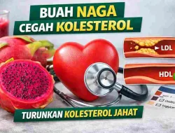 Buah Naga Jadi Andalan Cegah Kolesterol, Ini Penjelasannya