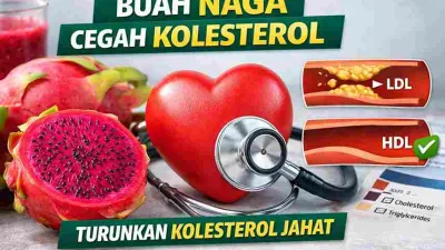 Buah Naga Jadi Andalan Cegah Kolesterol, Ini Penjelasannya