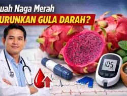 Buah Naga Merah Turunkan Gula Darah? Ini Penjelasan Dokter