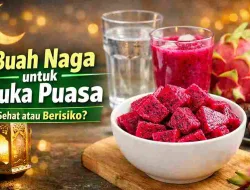 Buah Naga untuk Buka Puasa, Sehat atau Justru Berisiko?