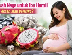 Buah Naga untuk Ibu Hamil, Aman atau Berisiko? Ini Faktanya