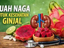 Buah Naga untuk Kesehatan Ginjal, Ini Fakta Ilmiahnya