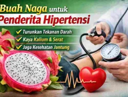 Buah Naga untuk Penderita Hipertensi, Ini Fakta Medisnya!