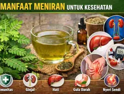 Bukan Tanaman Biasa, Ini Manfaat Meniran untuk Kesehatan