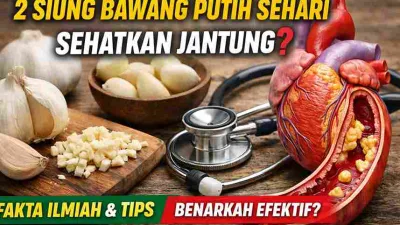 Thumbnail bawang putih dan ilustrasi jantung dengan stethoscope, menunjukkan manfaat 2 siung bawang putih sehari untuk kesehatan jantung.