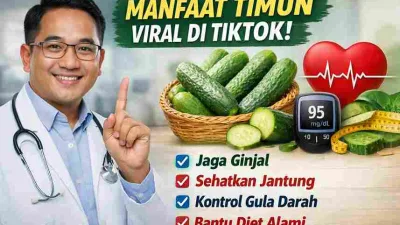 Dokter menjelaskan manfaat timun untuk kesehatan ginjal, jantung, gula darah, dan diet sehat