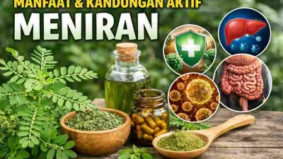 Jarang Disadari, Ini Kandungan Aktif Meniran & Manfaatnya