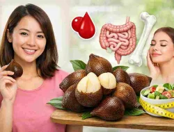 Jarang Disadari, Ini Manfaat Salak bagi Kesehatan Wanita