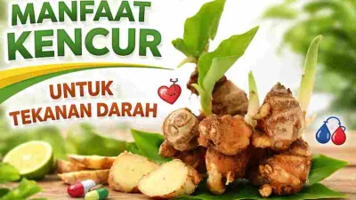 Jarang Disadari, Kandungan Kencur Ini Bantu Jaga Tekanan Darah