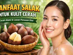 Jarang Disadari, Salak Bisa Bantu Cerahkan Kulit Secara Alami