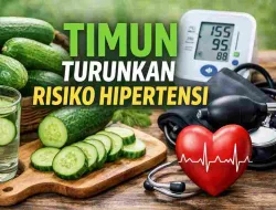Jarang Disadari, Timun Berperan Menurunkan Risiko Hipertensi