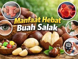 Kandungan Gizi Salak, Buah Lokal dengan Manfaat Mewah