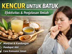 Kencur untuk Batuk, Seberapa Efektif? Ini Penjelasan Ilmiahnya