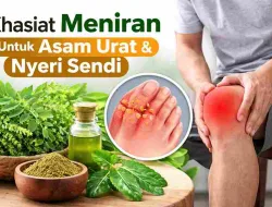 Khasiat Meniran bagi Penderita Asam Urat dan Nyeri Sendi