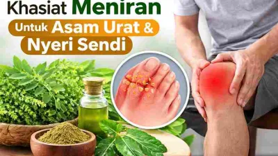 Khasiat Meniran bagi Penderita Asam Urat dan Nyeri Sendi