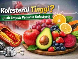 Kolesterol Tinggi? 9 Jenis Buah Ampuh yang Wajib Dikonsumsi