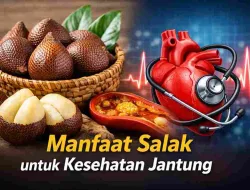 Konsumsi Salak Rutin, Ini Dampaknya bagi Kesehatan Jantung