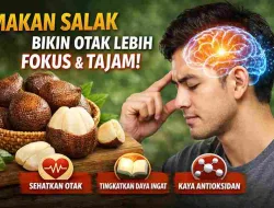 Makan Salak Rutin Bikin Otak Lebih Fokus dan Tajam, Ini Faktanya