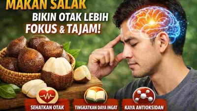 Makan Salak Rutin Bikin Otak Lebih Fokus dan Tajam, Ini Faktanya