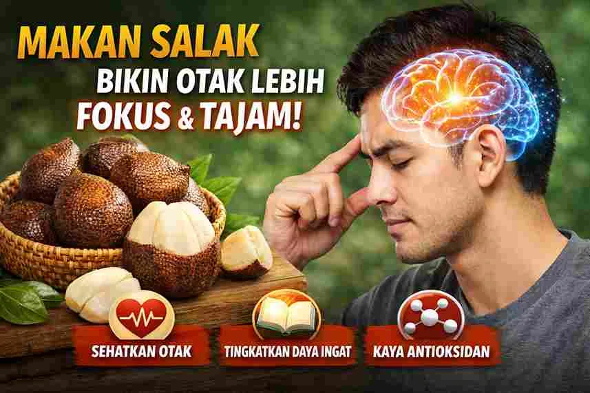 Thumbnail buah salak segar dengan ilustrasi otak bercahaya yang melambangkan fokus dan daya ingat lebih tajam