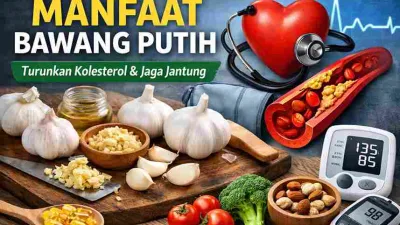 Thumbnail manfaat bawang putih untuk menurunkan kolesterol dan menjaga kesehatan jantung dengan gambar bawang putih, arteri, dan ikon kesehatan