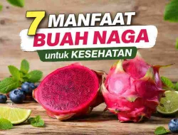 Manfaat Buah Naga untuk Kesehatan, Ini Fakta Ilmiahnya