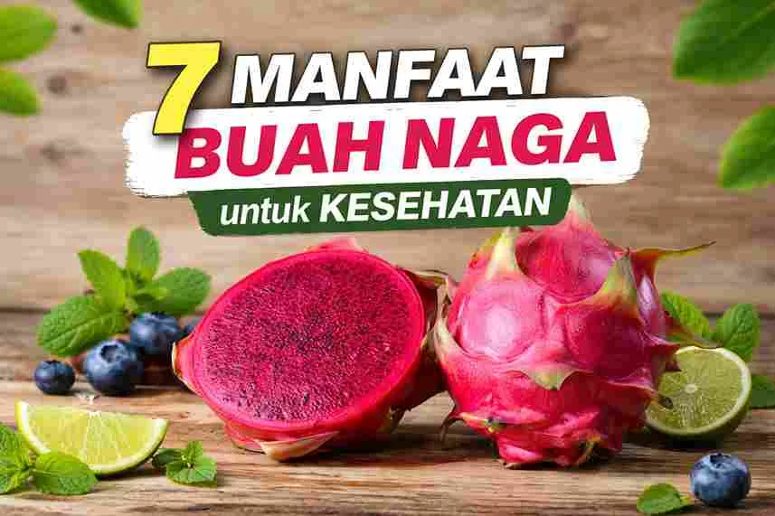 Buah naga merah segar dengan potongan daging berwarna merah cerah sebagai ilustrasi manfaat buah naga untuk kesehatan tubuh