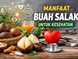 Manfaat Buah Salak untuk Kesehatan, Cegah Penyakit Diam-Diam