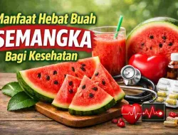 Manfaat Buah Semangka untuk Kesehatan yang Jarang Disadari