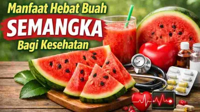 Manfaat Buah Semangka untuk Kesehatan yang Jarang Disadari