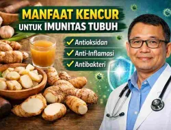 Manfaat Kencur untuk Imunitas Tubuh, Ini Penjelasan Ahli