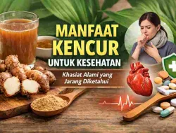 Manfaat Kencur untuk Kesehatan: Khasiat Alami yang Jarang Disadari