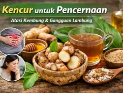 Manfaat Kencur Untuk Pencernaan, Bantu Redakan Kembung