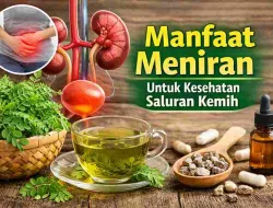 Manfaat Meniran Atasi Gangguan Saluran Kemih Secara Alami