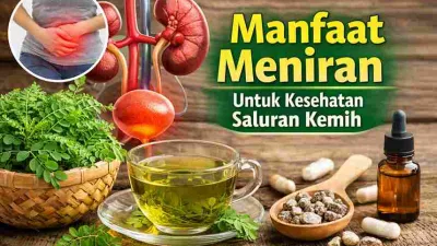 Manfaat Meniran Atasi Gangguan Saluran Kemih Secara Alami