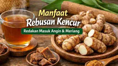 Rebusan kencur hangat dengan kencur segar dan gula aren sebagai obat herbal alami untuk meredakan masuk angin dan meriang.