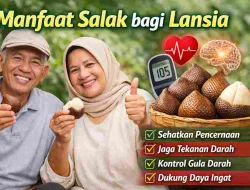 Manfaat Salak bagi Lansia, Cegah Penyakit Diam-Diam