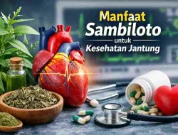 Manfaat Sambiloto untuk Jantung, Herbal Alami yang Kini Dicari