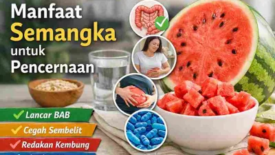 Ilustrasi semangka segar dan sistem pencernaan, menunjukkan manfaat semangka untuk melancarkan BAB dan menjaga kesehatan usus