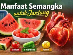 Manfaat Semangka untuk Jantung yang Jarang Diketahui