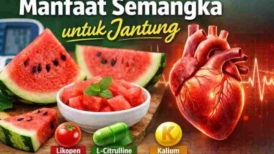 Manfaat Semangka untuk Jantung yang Jarang Diketahui
