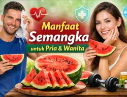 Manfaat Semangka untuk Pria & Wanita, Efeknya Jarang Disadari