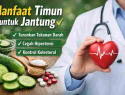 Manfaat Timun untuk Jantung Menurut Dokter, Cegah Hipertensi