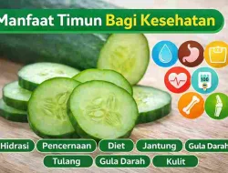 Manfaat Timun untuk Kesehatan Menurut Dokter & Riset Ilmiah