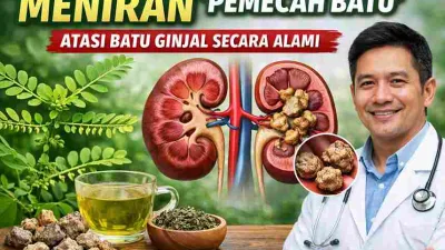 Meniran Untuk Batu Ginjal, Ini Penjelasan Dokter